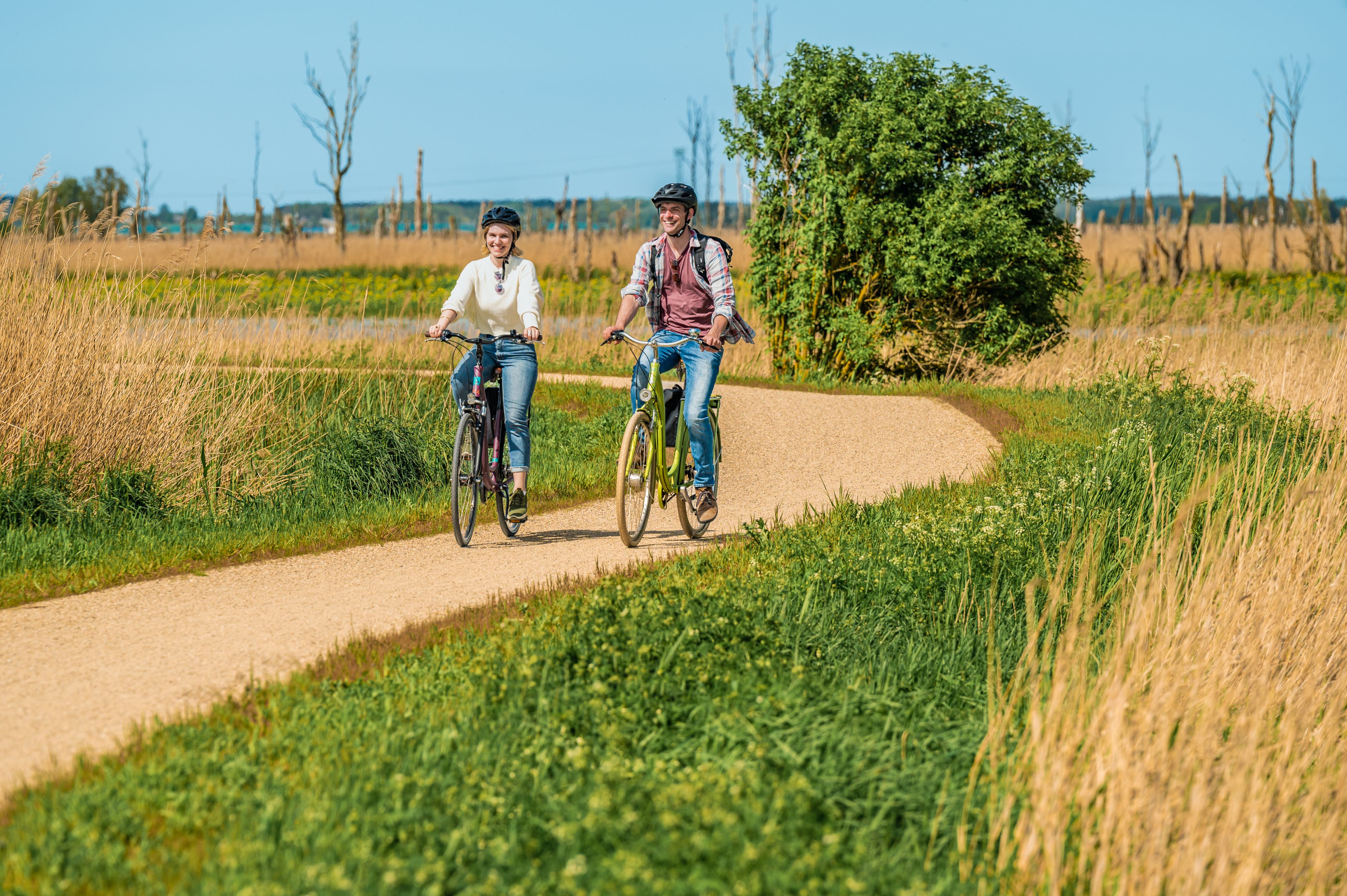 zwei Fahrradfahrer gut erkennbar auf einem Fahrradweg mitten in der Natur, im Hintergrund lässt sich ein Flussvermuten und es sind tote Bäume erkennbar